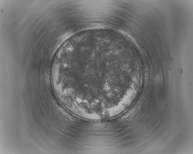 X0000070341409200607072001