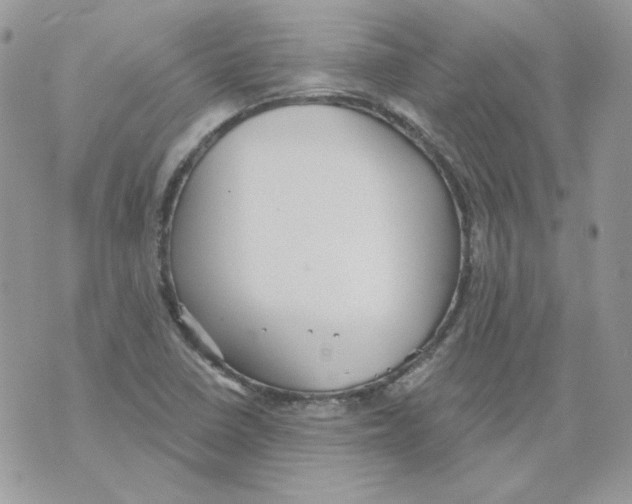 X0000070341410200607072001