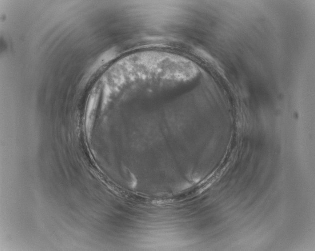 X0000070341411200607072001