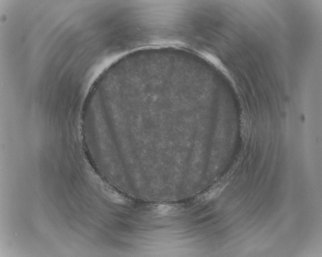 X0000070341412200607072001