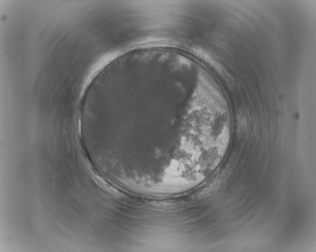 X0000070341413200607072001