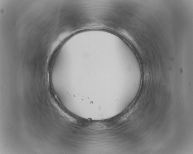 X0000070341414200607072001