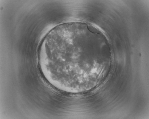 X0000070341415200607072001