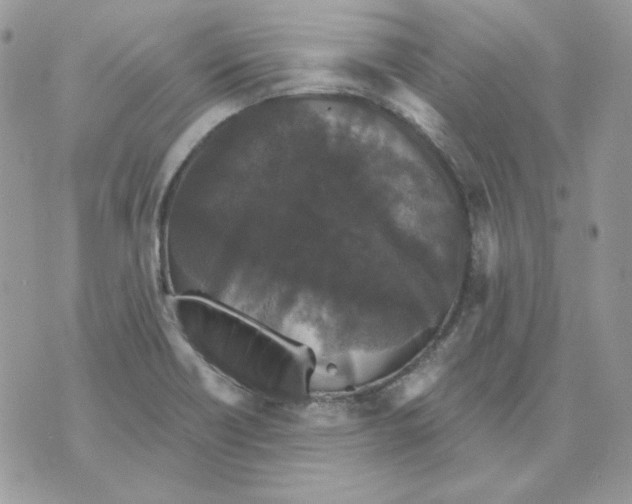 X0000070341418200607072001