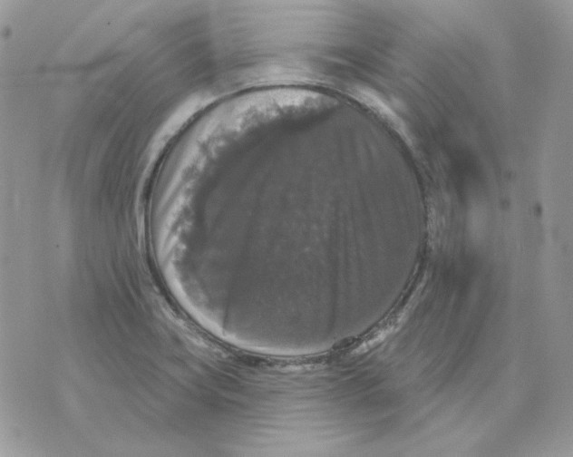 X0000070341419200607072001