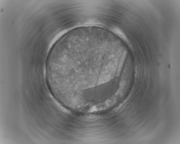 X0000070341420200607072001