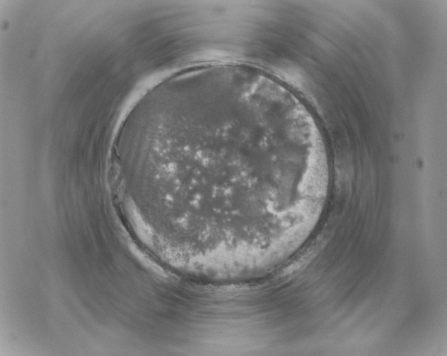 X0000070341421200607072001