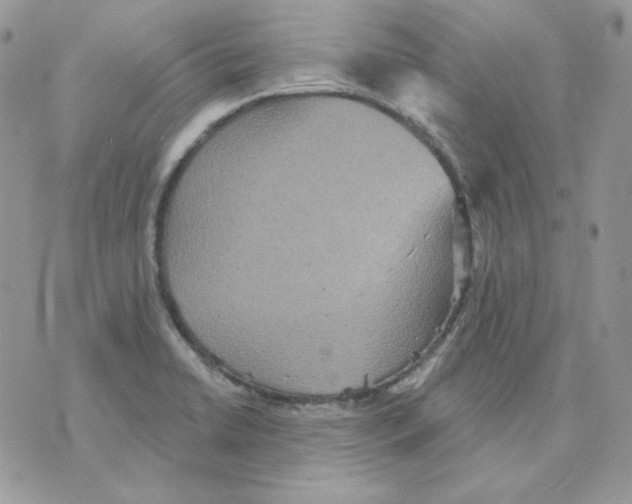 X0000070341422200607072001