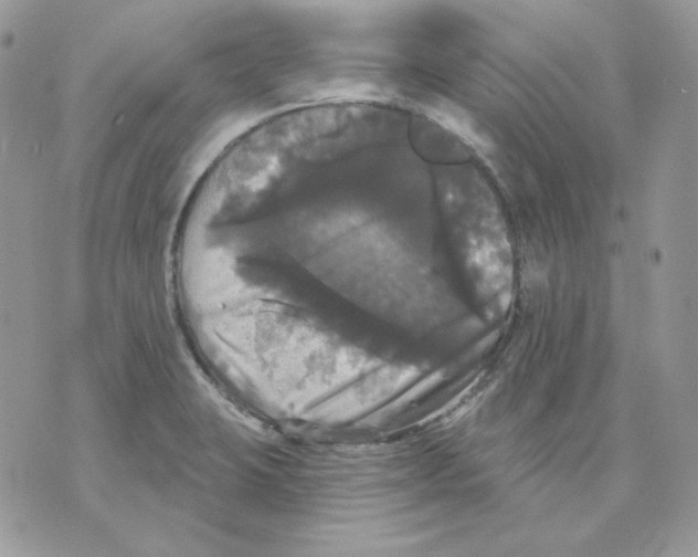 X0000070341423200607072001