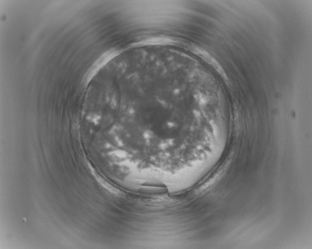 X0000070341425200607072001