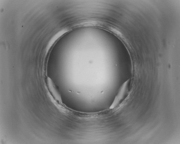 X0000070341426200607072001