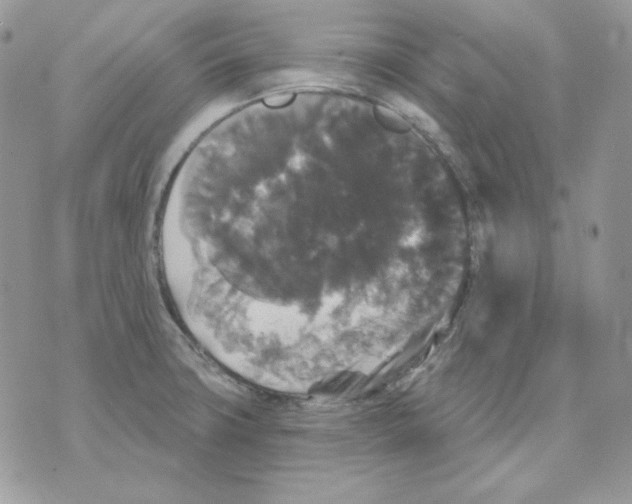 X0000070341427200607072001