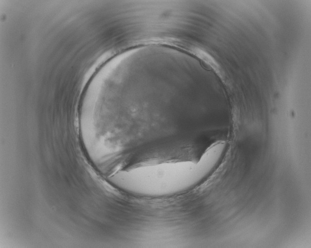 X0000070341428200607072001