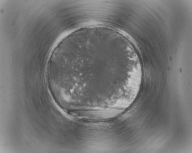 X0000070341429200607072001