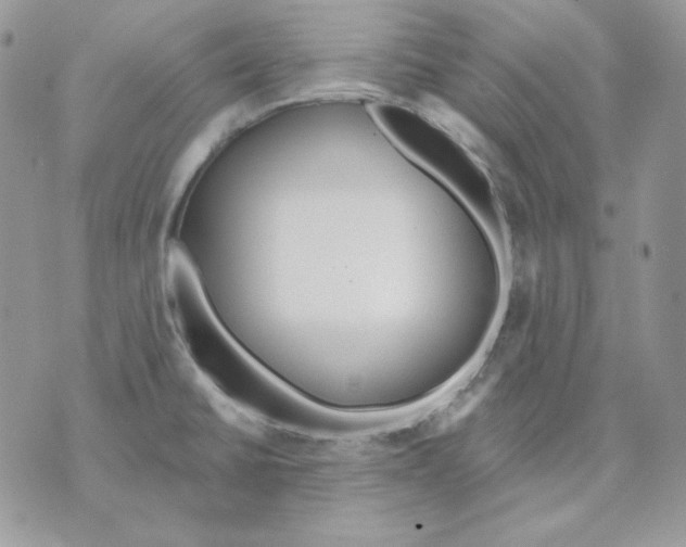 X0000070341430200607072002