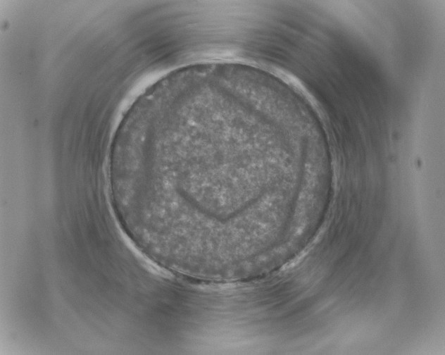 X0000070341432200607072002