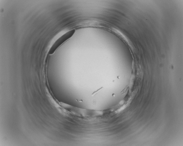 X0000070341434200607072002