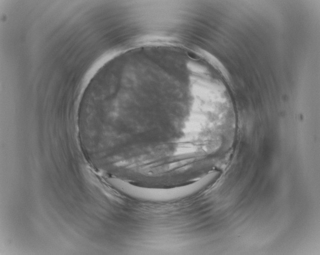 X0000070341435200607072002