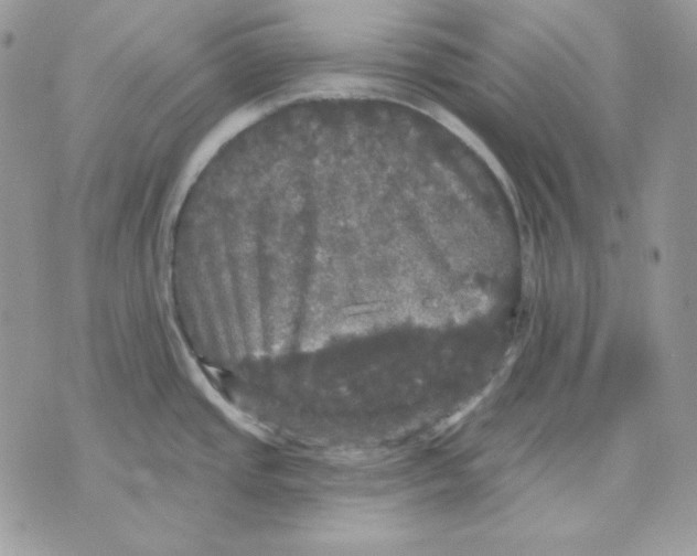 X0000070341437200607072002