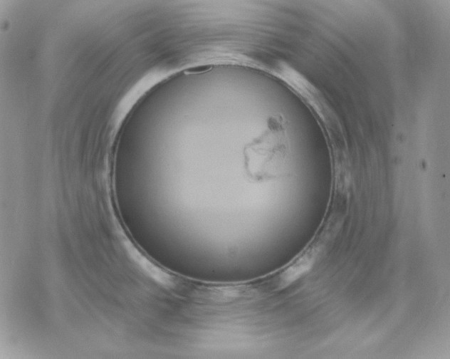 X0000070341438200607072002