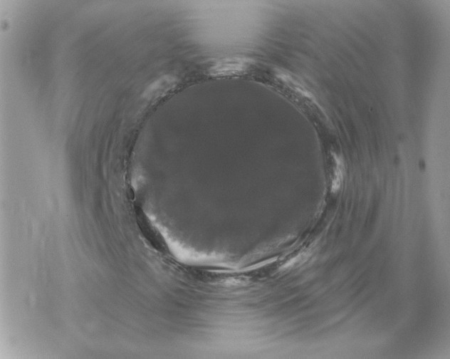 X0000070341441200607072001