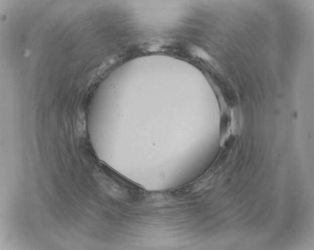 X0000070341443200607072001