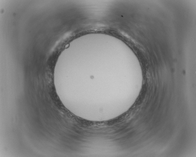 X0000070341447200607072001