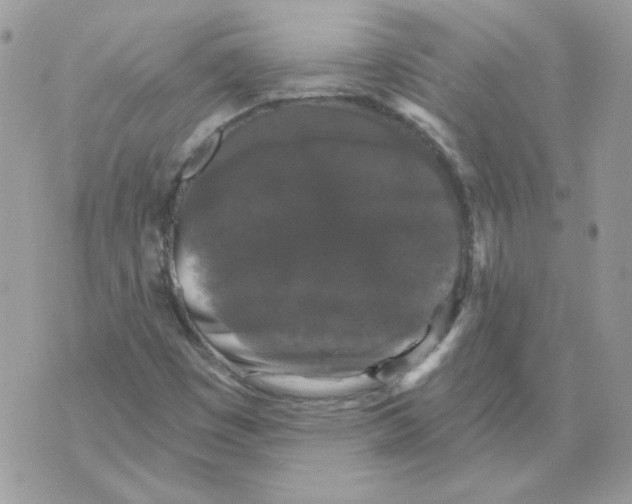 X0000070341449200607072001