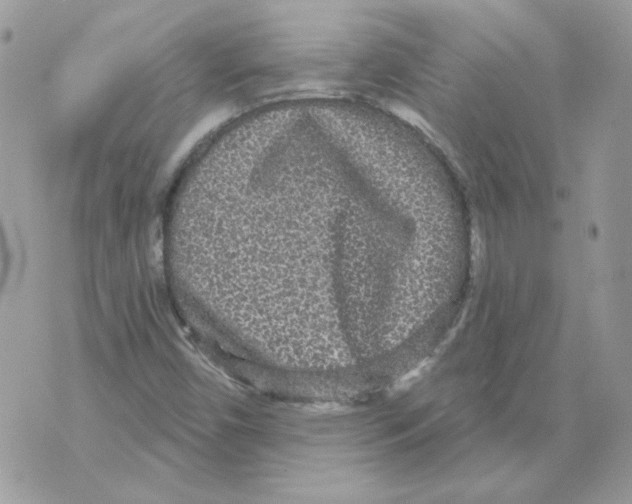 X0000070341450200607072001