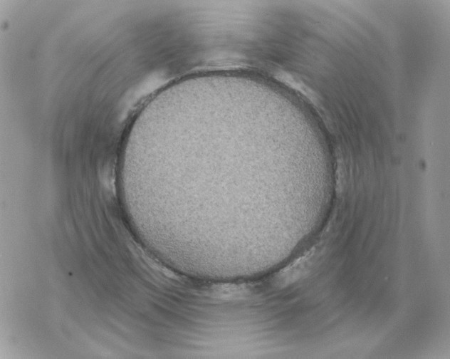 X0000070341451200607072001