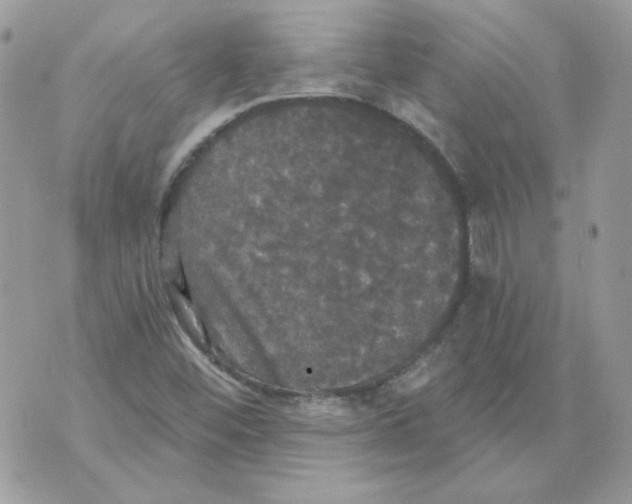 X0000070341452200607072001