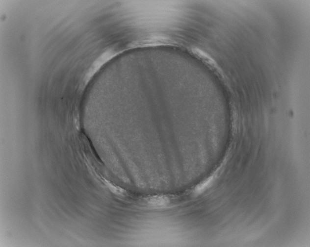 X0000070341457200607072001