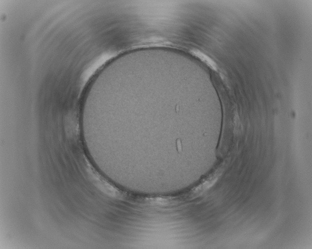 X0000070341458200607072001