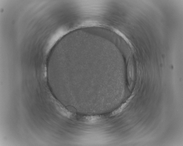 X0000070341461200607072001