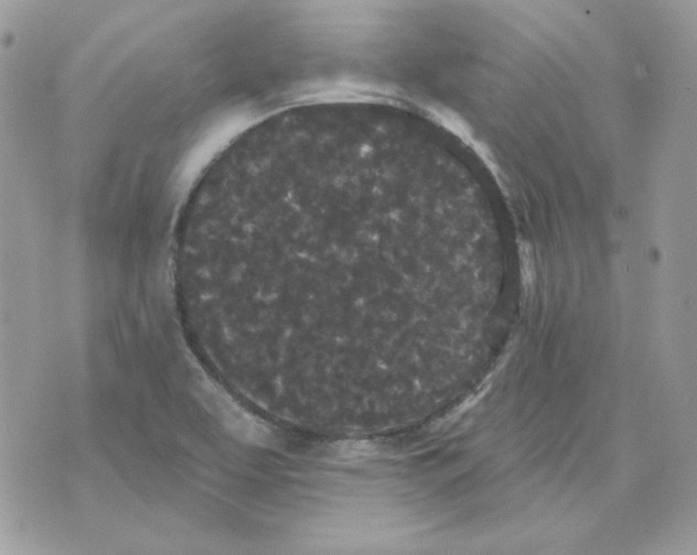 X0000070341463200607072001