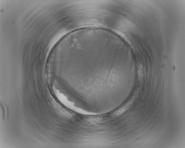 X0000070341466200607072000