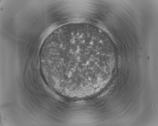 X0000070341467200607072000