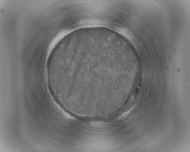 X0000070341472200607072000