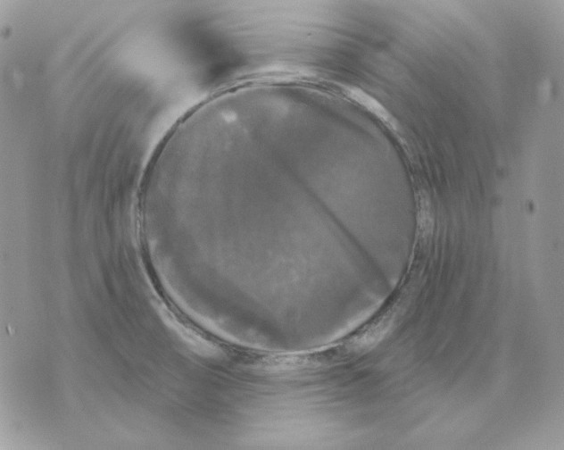 X0000070341474200607072000