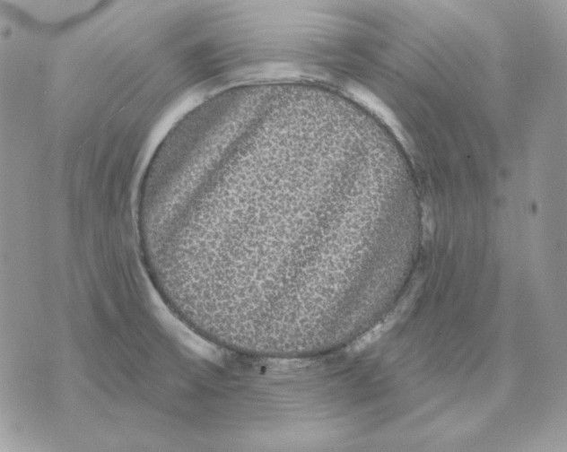 X0000070341475200607072000