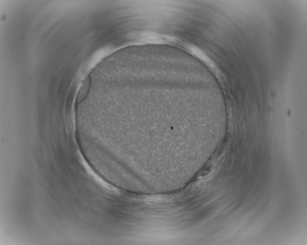 X0000070341479200607072000