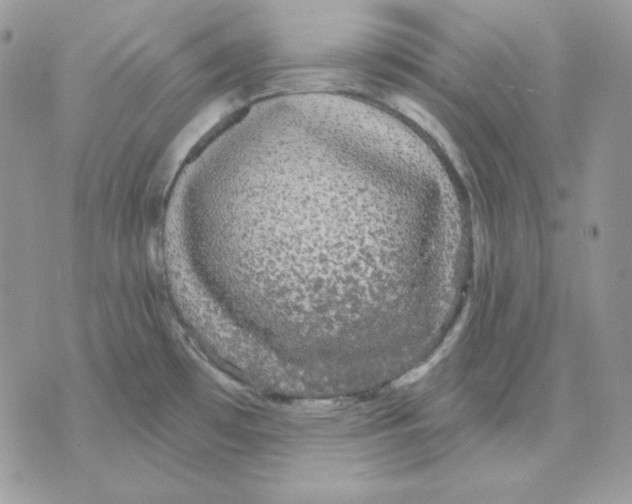 X0000070341481200607072000