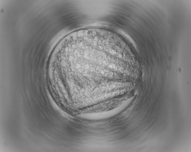 X0000070341483200607072000