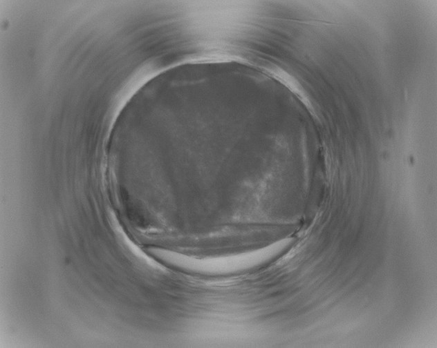 X0000070341484200607072000