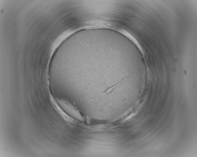 X0000070341485200607072000