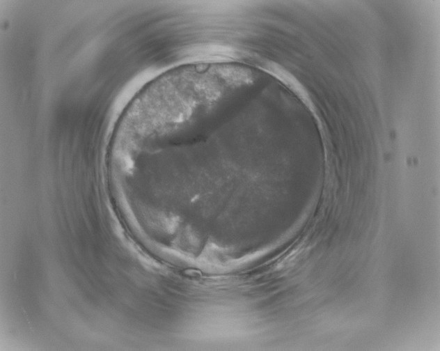 X0000070341488200607072000