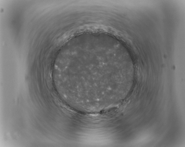 X0000070341489200607071959