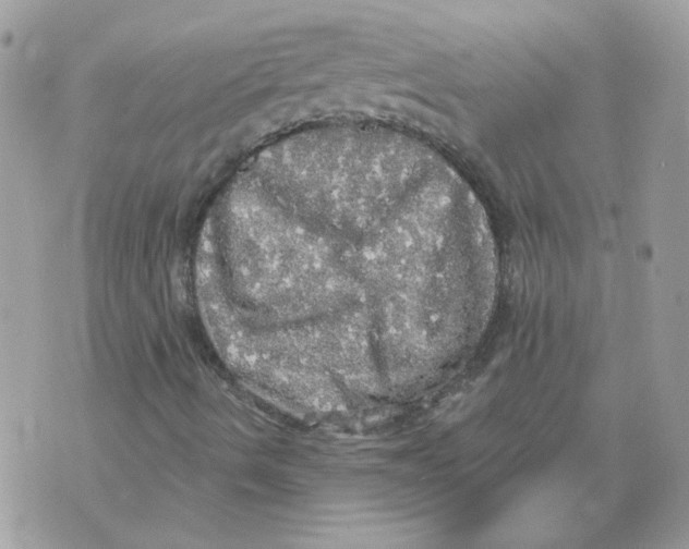 X0000070341490200607071959