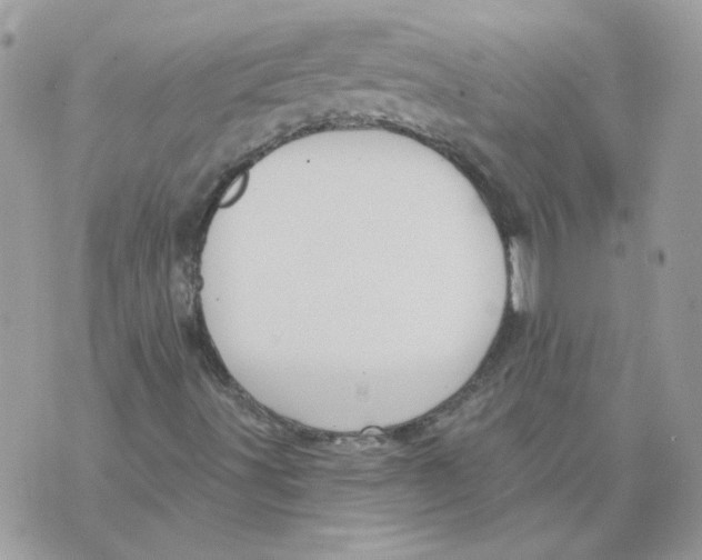 X0000070341491200607071959