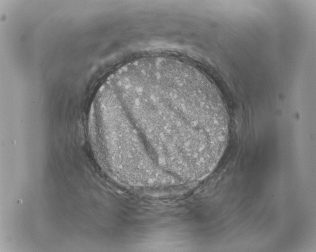 X0000070341493200607071959